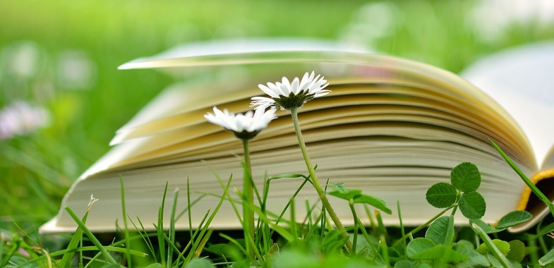 Poesía corta: Alma en calma
