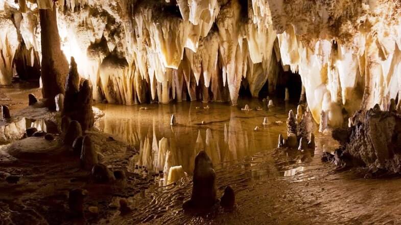 Día de las Cuevas. Pozalagua