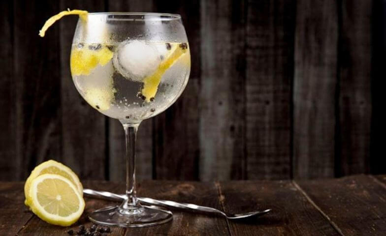 Un gin tonic perfecto