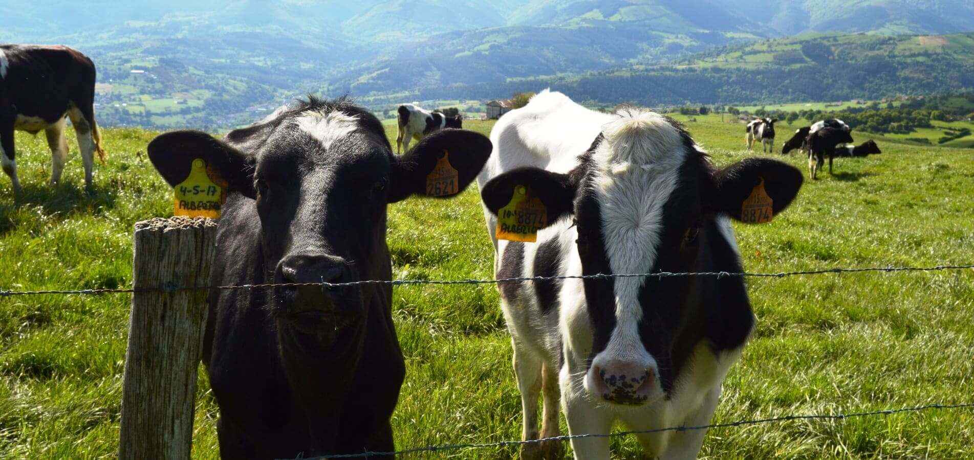 Comprométete con el turismo sostenible en Euskadi
