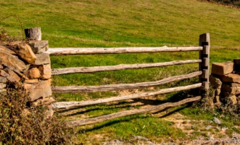 escapada cultural y gastronómica