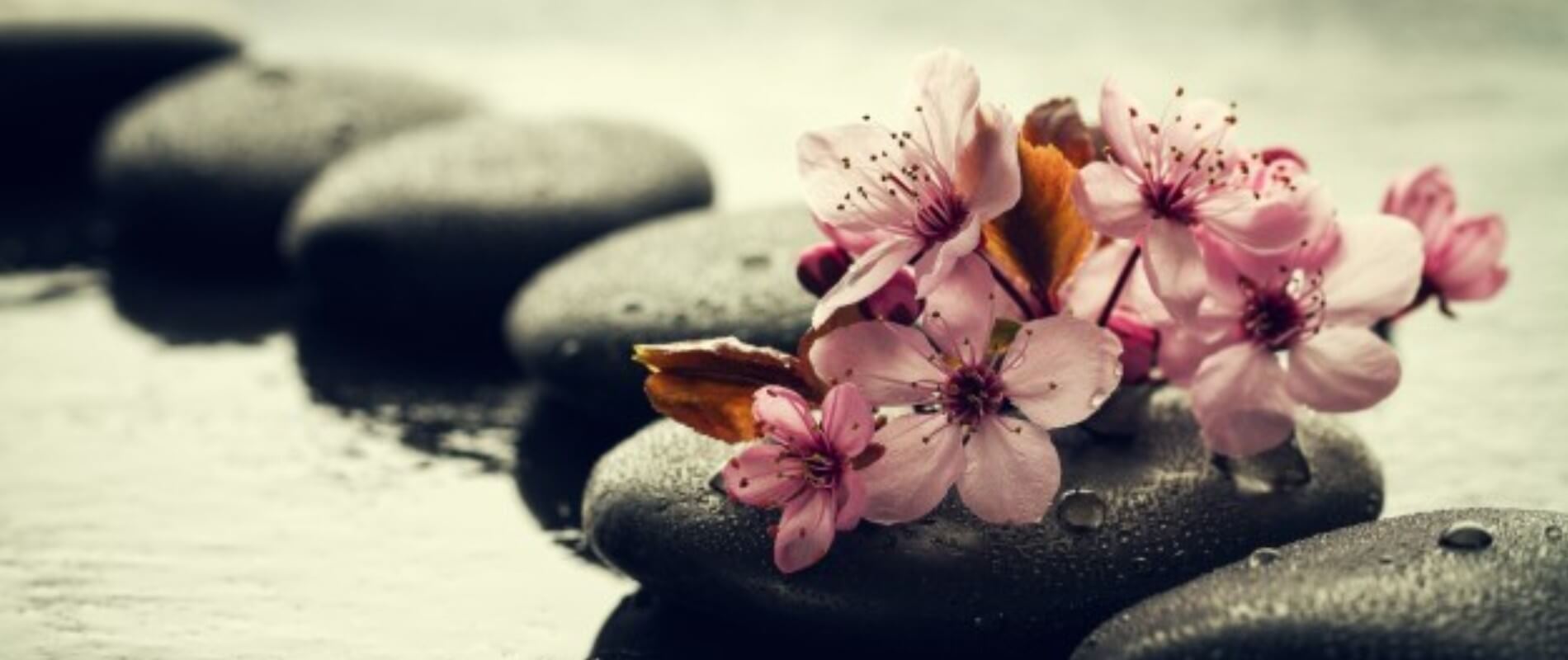 Masaje Shiatsu: técnica oriental del bienestar integral.