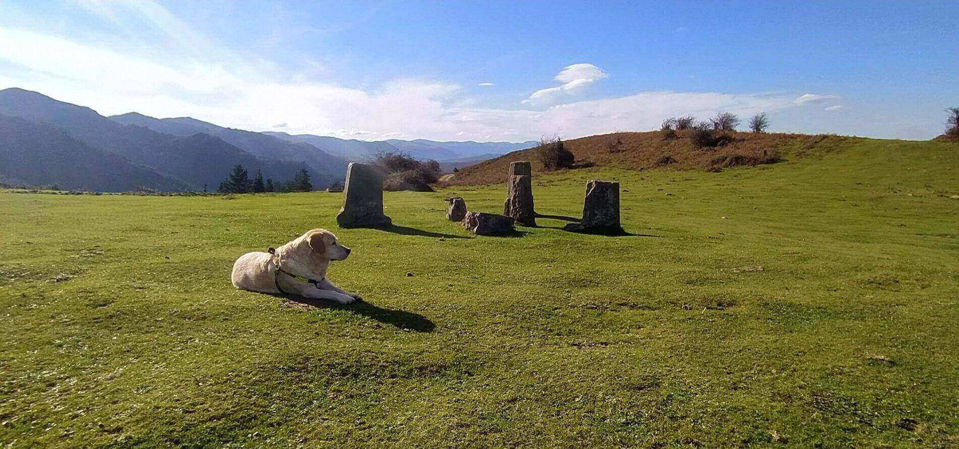 Casa rural con mascotas en Euskadi. Destino dog friendly.
