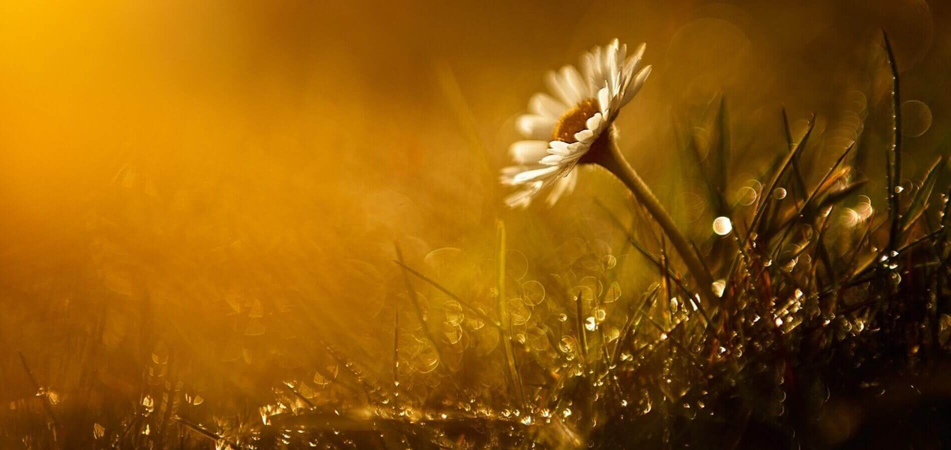 Encuentros fotográficos de primavera.
