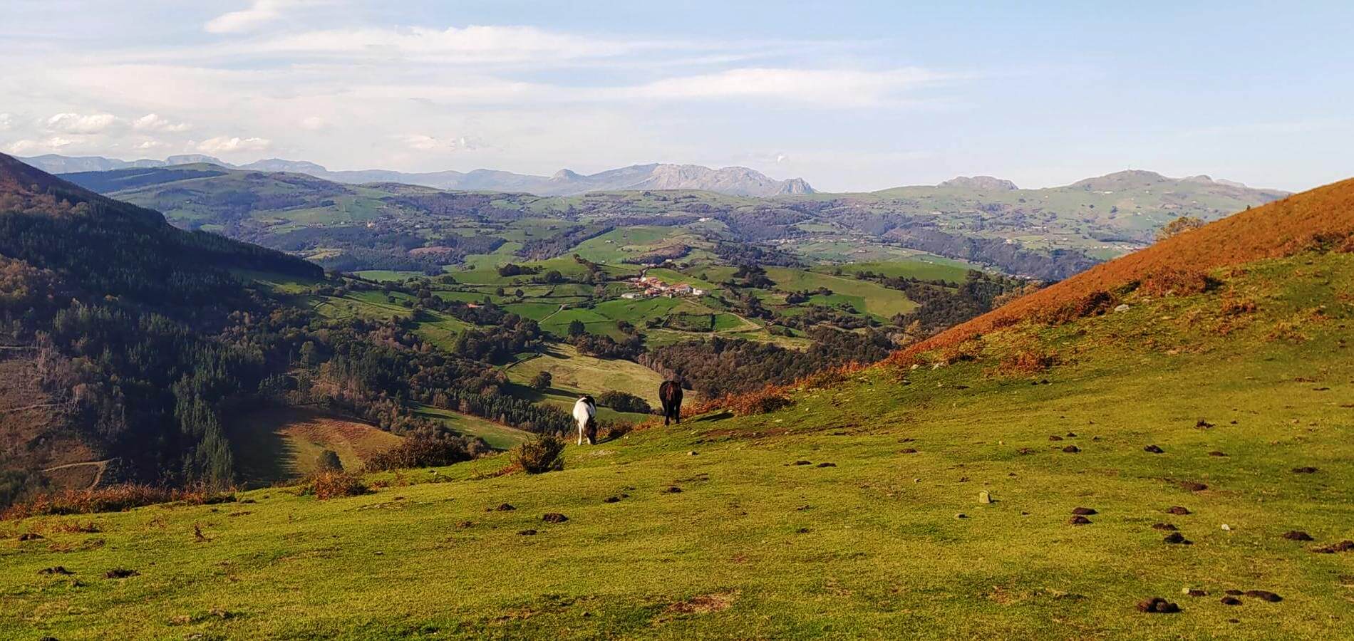 Desafíos del turismo rural en la era digital
